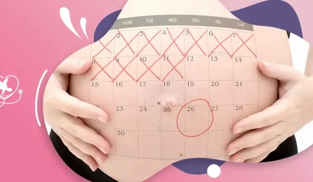 ayrıntılı gebelik hesaplama