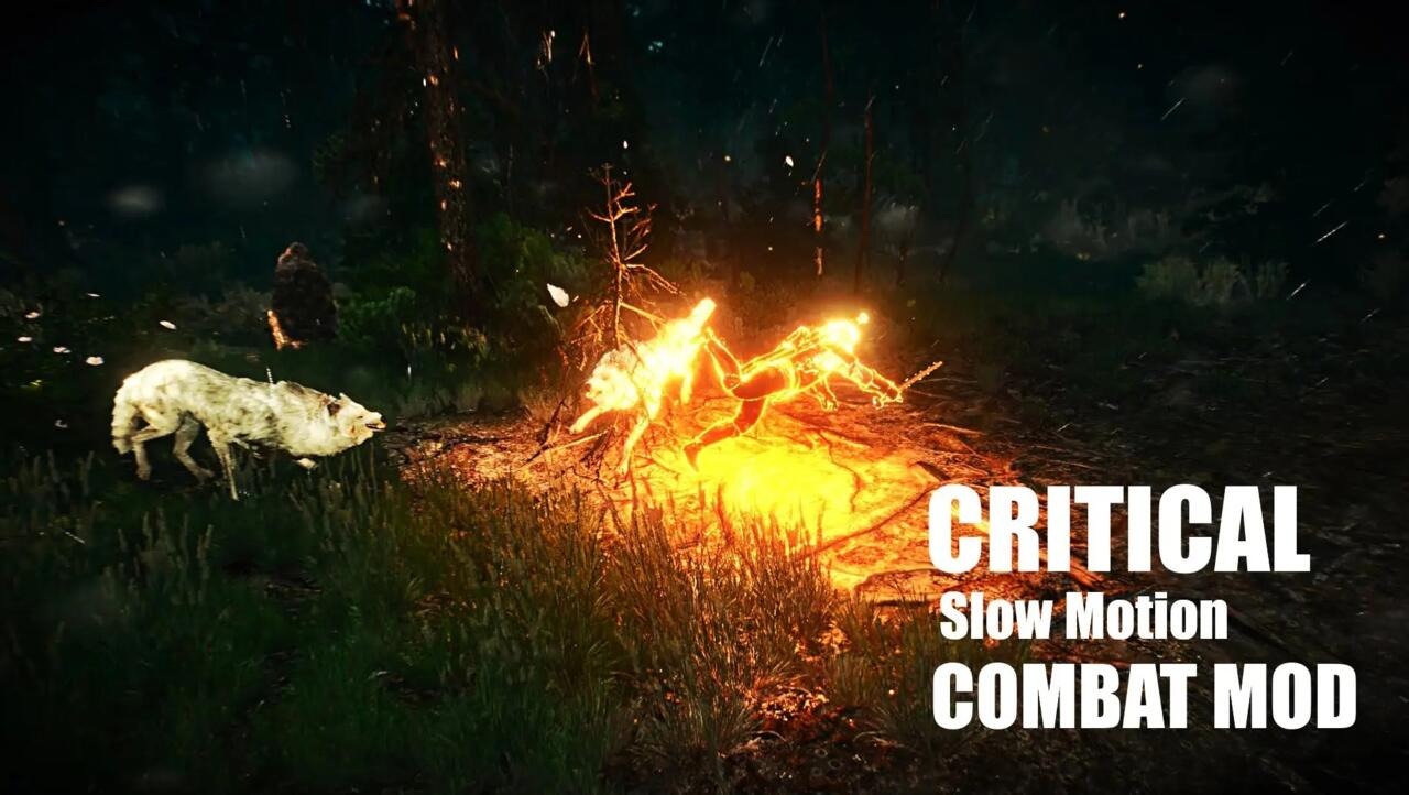 En İyi Witcher 3 Modları Critical Slow Motion Combat