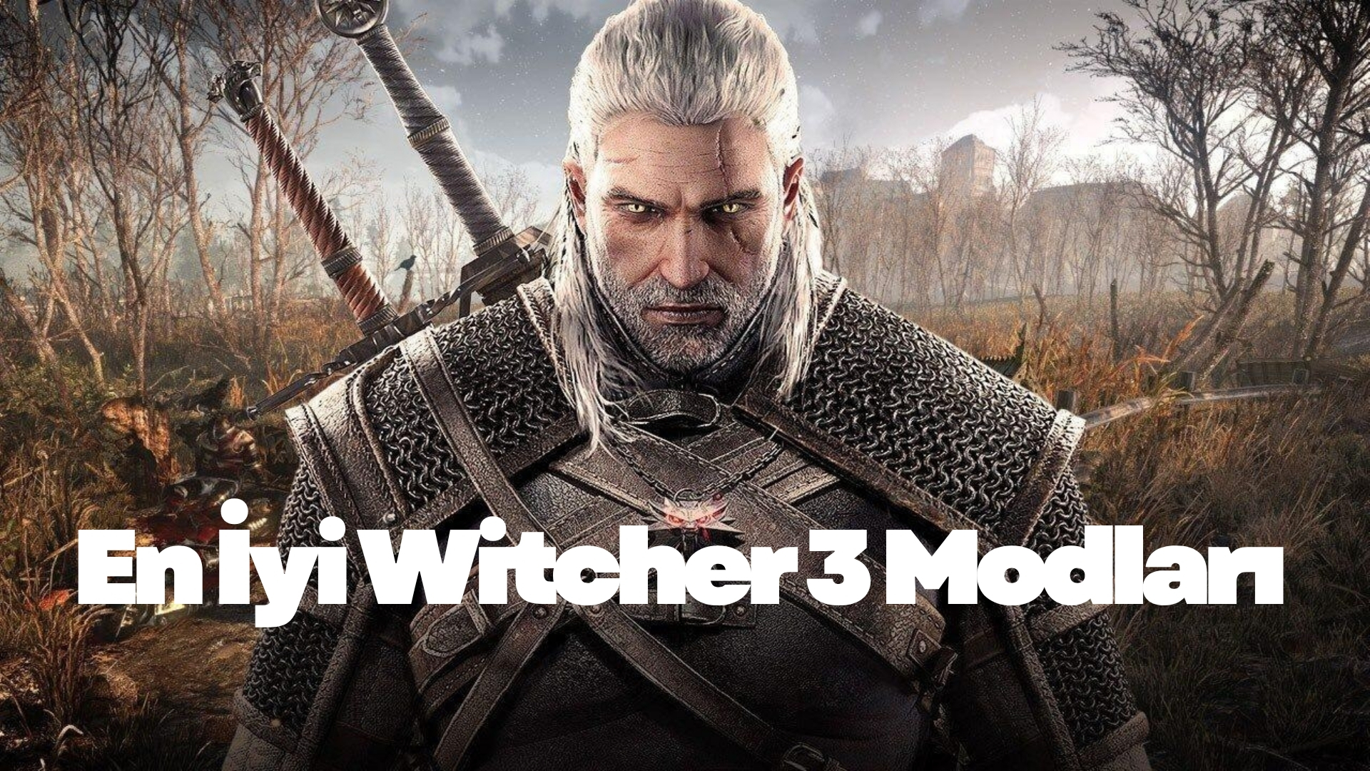 En İyi Witcher 3 Modları En İyi Witcher 3 Modları (2)