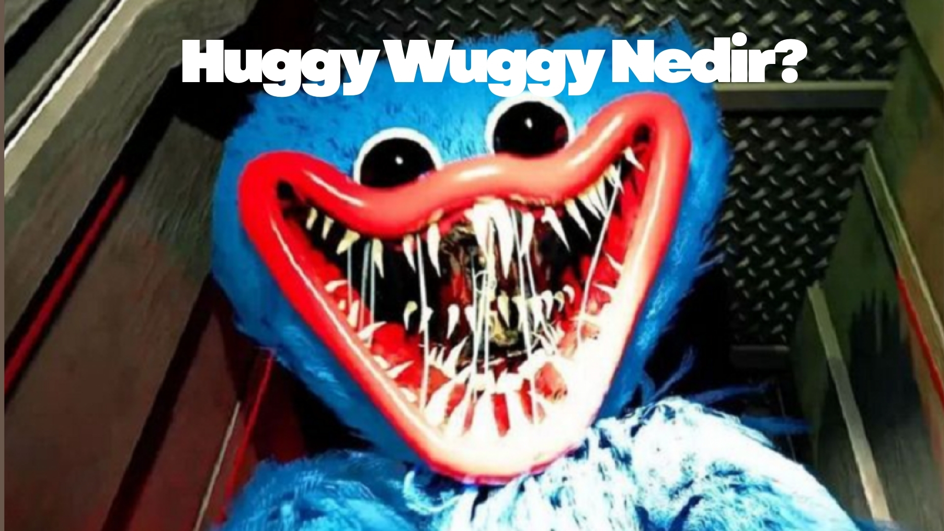 Huggy Wuggy Nedir? Huggy Wuggy Nedir (2)