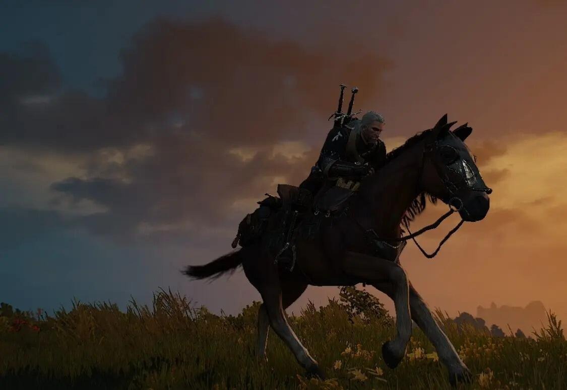 En İyi Witcher 3 Modları Infinite Roach Stamina