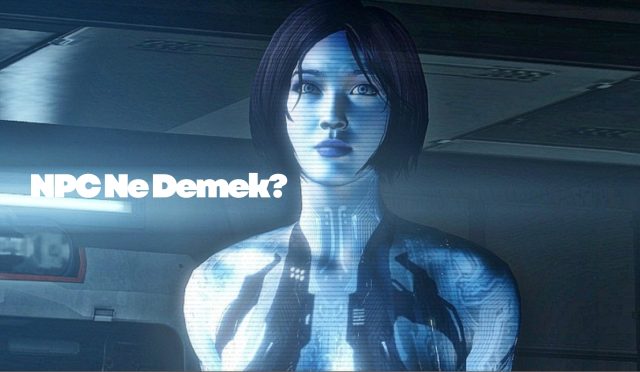 NPC Ne Demek