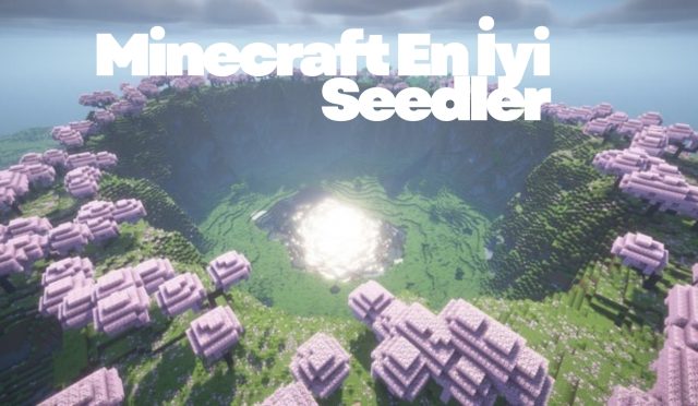 Minecraft En İyi Seedler