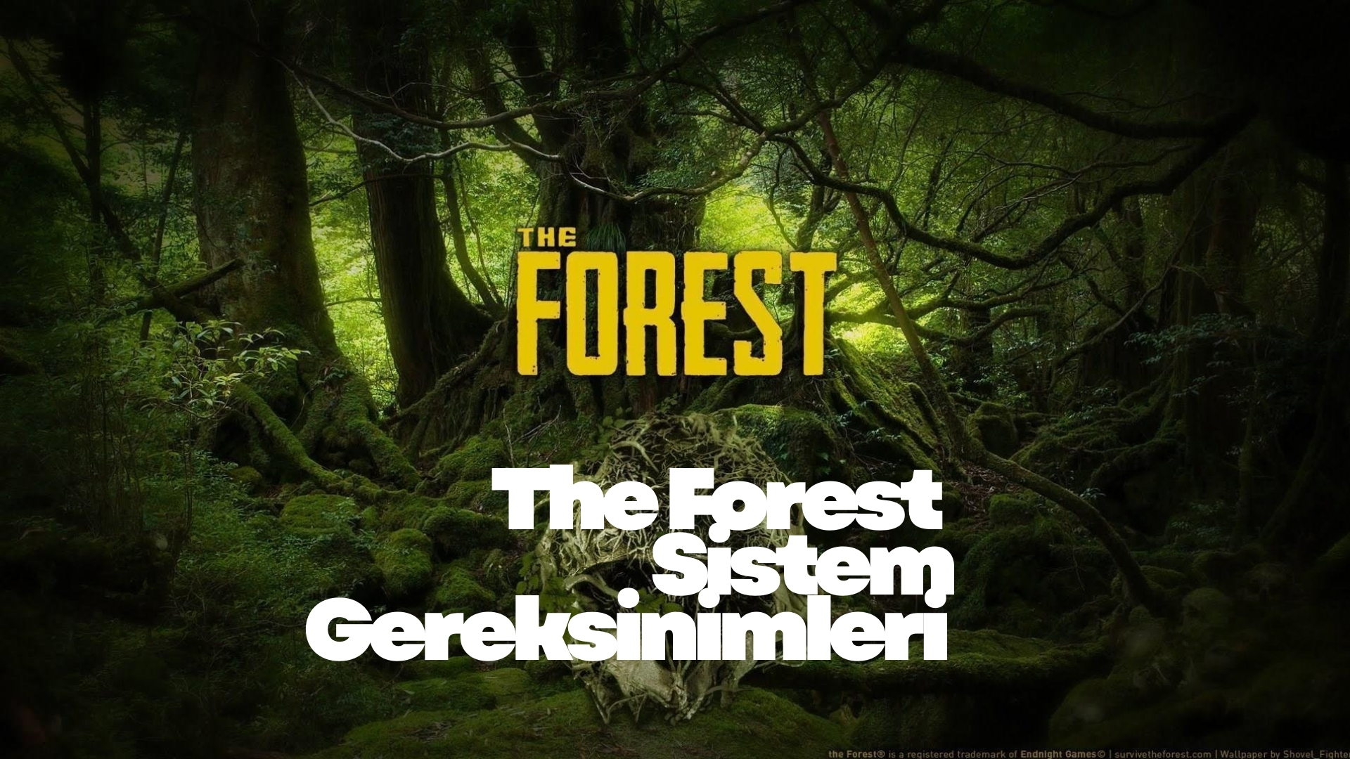 The Forest Sistem Gereksinimleri The Forest Sistem Gereksinimleri